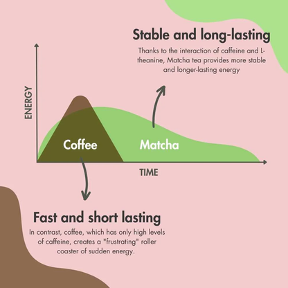 MOMI Ceremonial Matcha (LIMITED TIME OFFER)